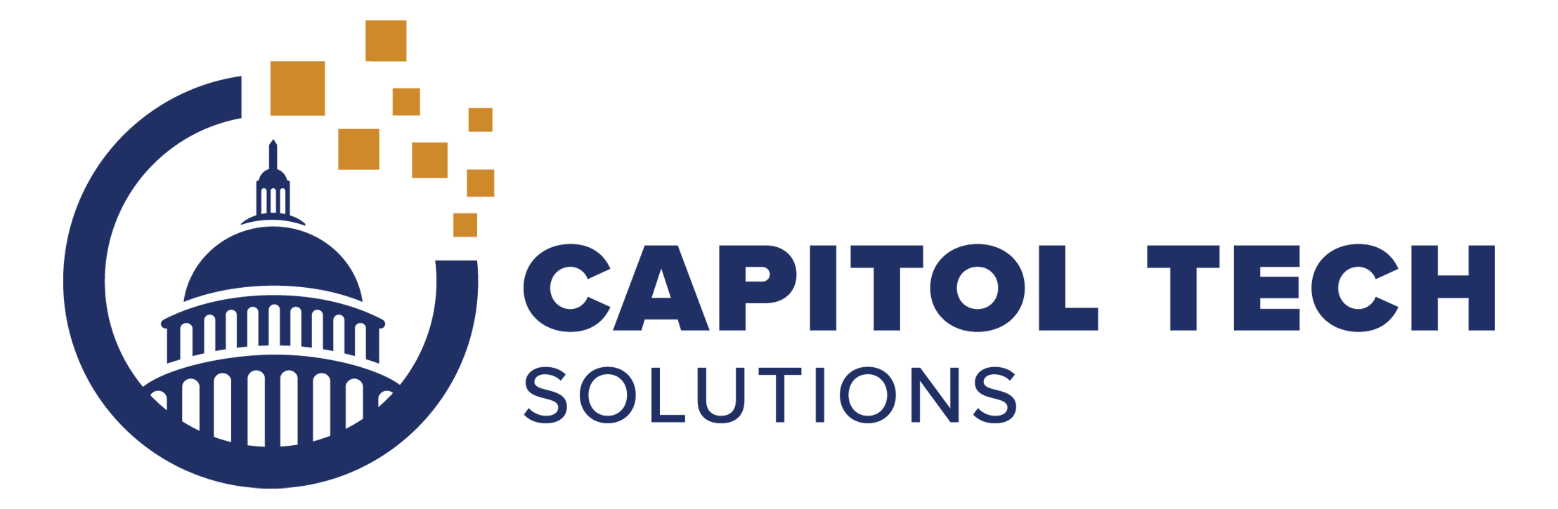 Capitol Tech Solutions 20 year Logo